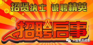 皮革行業(yè)最新招聘動(dòng)態(tài)，背景、事件分析與影響展望