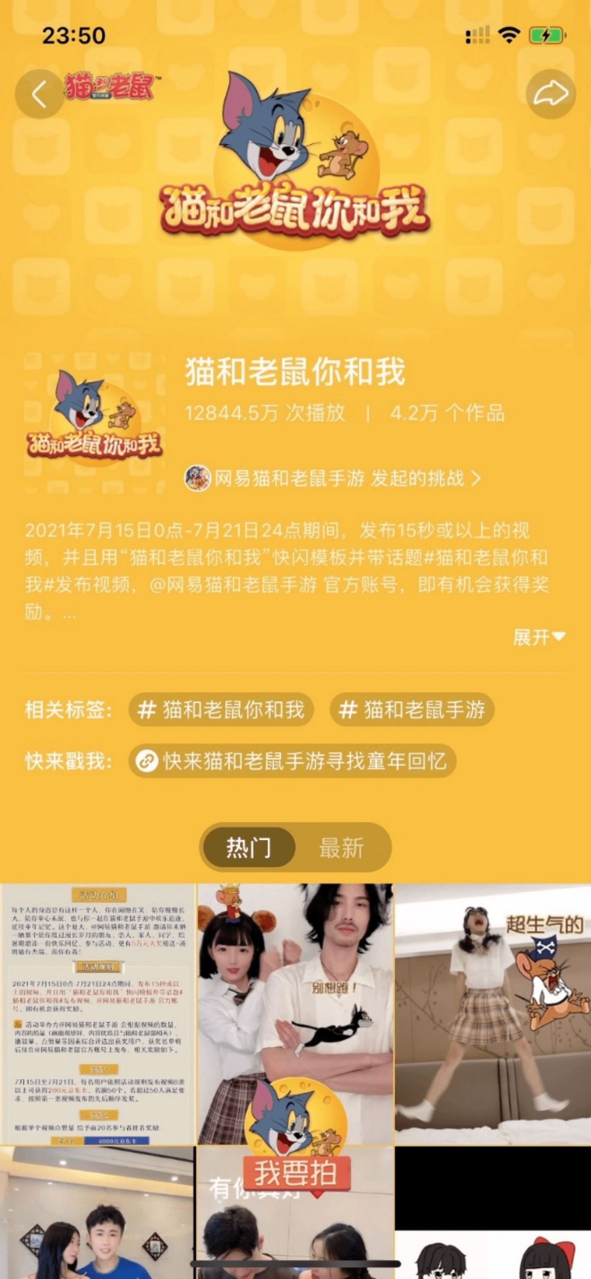 最新快手快貓,最新快手快貓，探索自然美景的輕松之旅，尋找內心的平和與寧靜