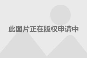 李小璐賈乃亮最新現(xiàn)狀，深度解析二人的生活方式與技能學(xué)習(xí)指南