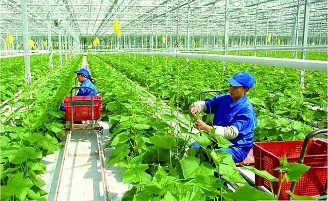 輕質(zhì)建筑材料制造 第284頁
