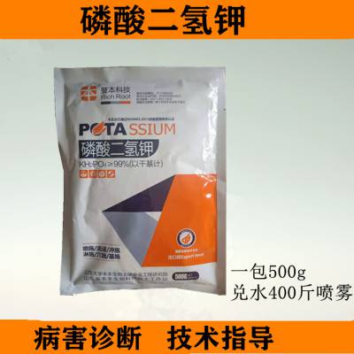 磷酸最新哈g，尋找內心平靜的奇妙探險