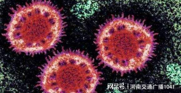輕質(zhì)建筑材料銷售 第295頁