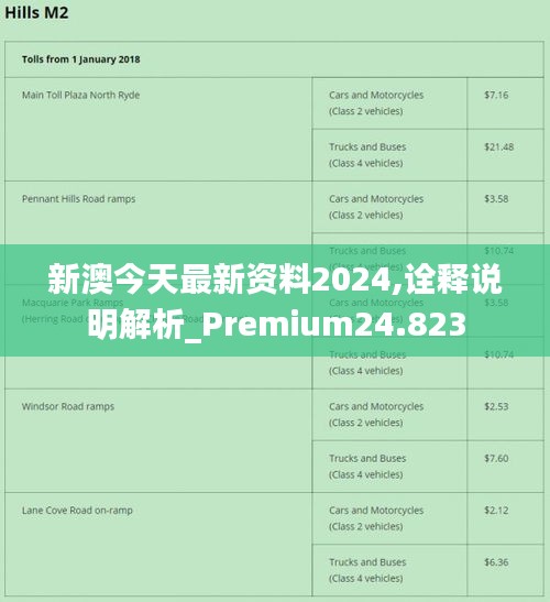 2024新澳精準資料免費提供下載,快速處理計劃_演講版72.839