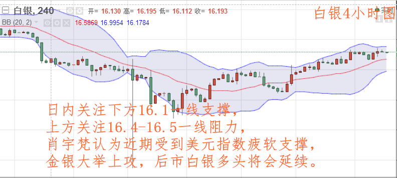 一碼一肖一特一中2024,案例實證分析_白銀版37.281