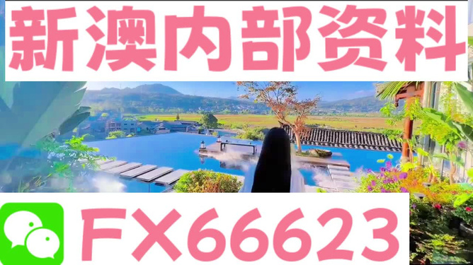 新澳2024年最新版資料,實用性解讀策略_掌中寶41.517