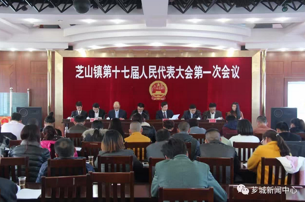 多維度視角下的林暢浩觀點闡述