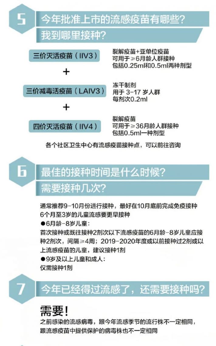 時尚潮流演變揭秘，最新流感動向及其影響力