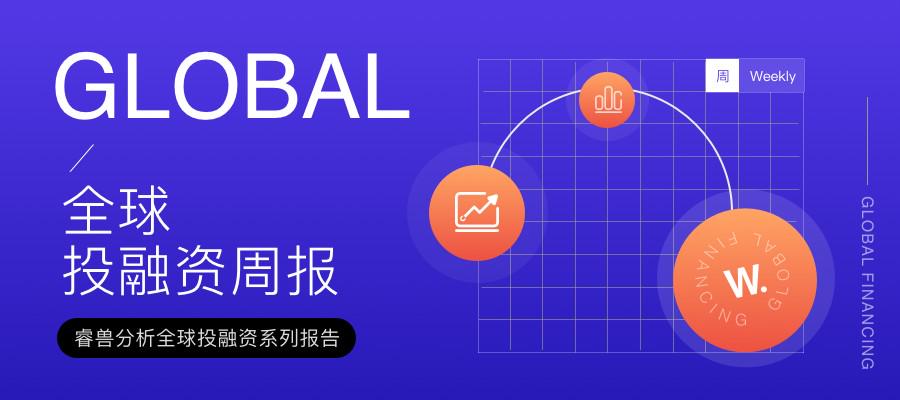 動物世界資金盤最新動態,動物世界資金盤最新動態，多方視角的探討與解析