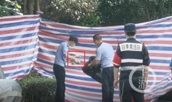 杭州失蹤女子最新老公,杭州失蹤女子最新老公探秘??