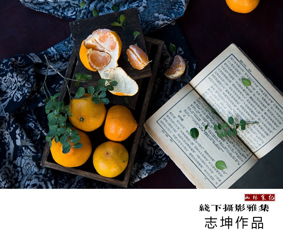 落籽七最新作品詳解及制作步驟指南，適合初學者與進階用戶參考