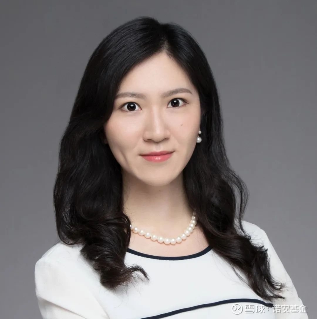 諾安基金經理最新信息，自然美景背后的投資洞察之旅