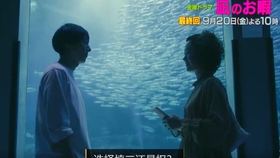 趙小南最新歌曲，音樂之旅的新篇章開啟