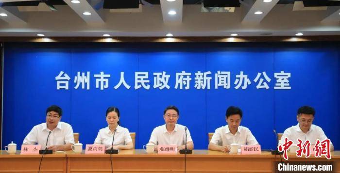 臨海河馬集市最新動態，繁榮背后的多元視角探索