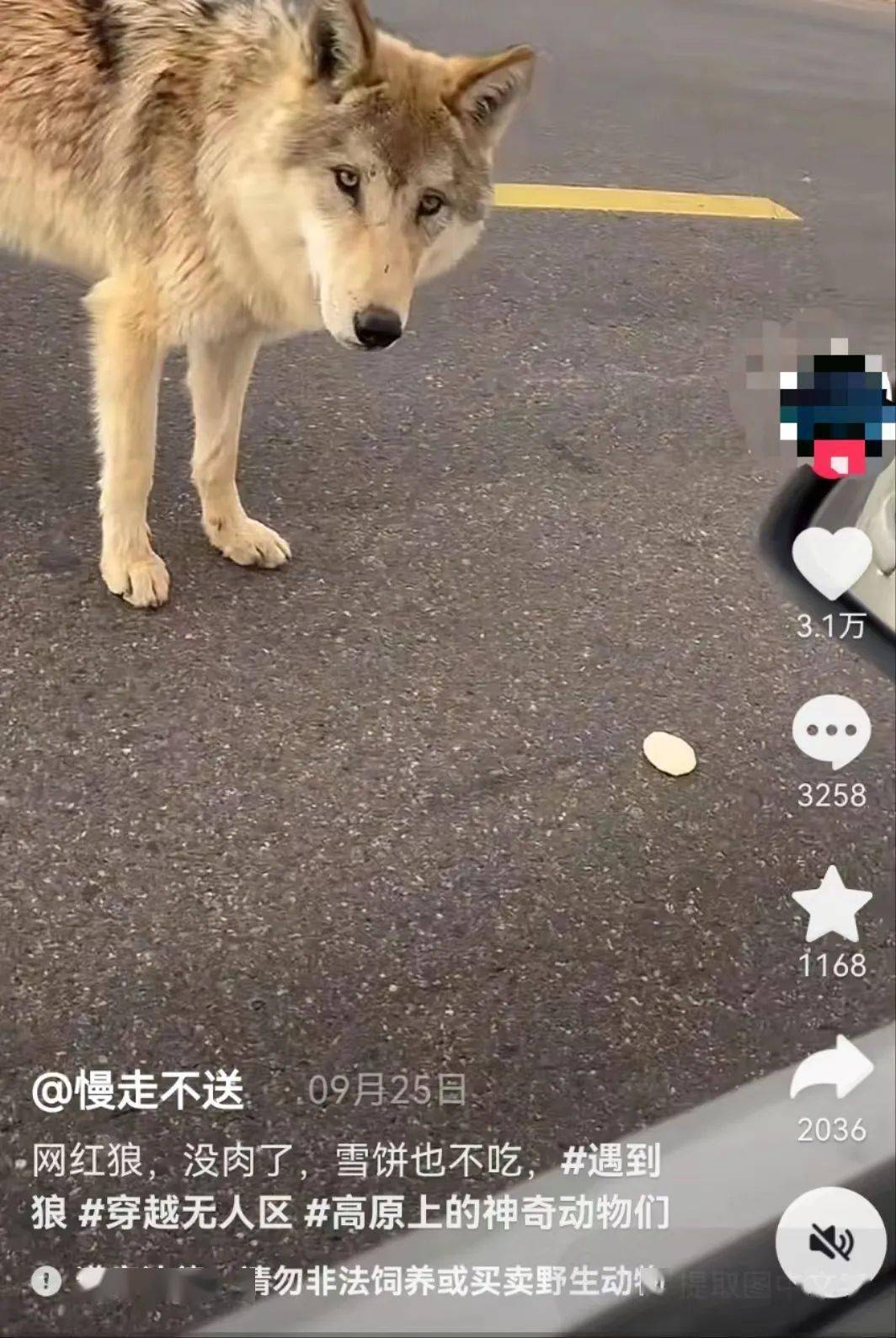 抖狼最新地址，變化中的學習之路與自信成就之源