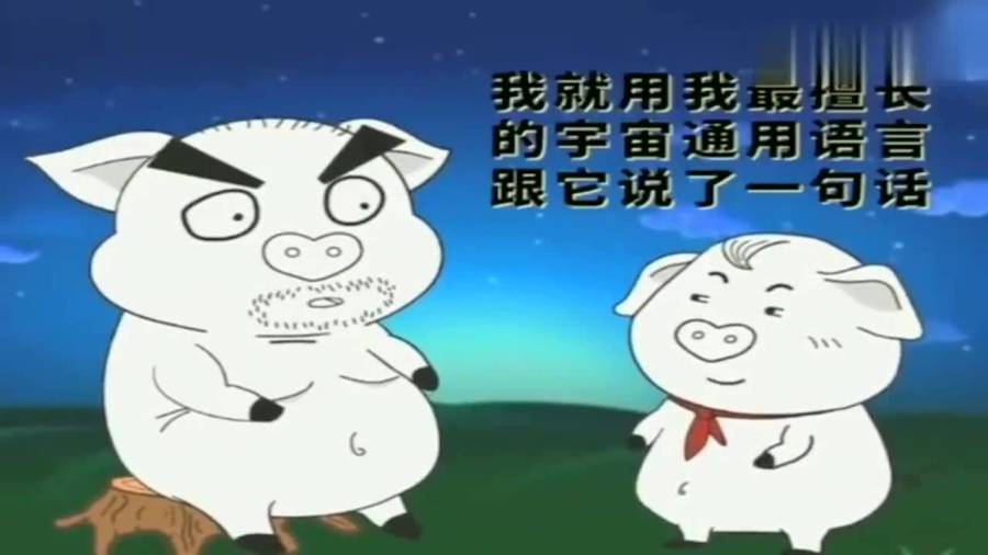 豬屁登最新解析與觀點(diǎn)闡述，深度探討與解讀