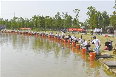 杭州灣濕地公園最新游覽指南揭秘，探索自然美景的絕佳去處