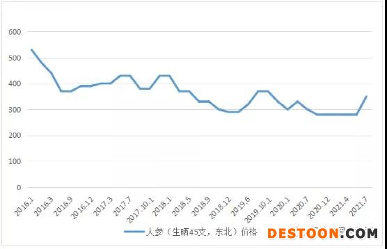 揭秘人參最新市場價格，小紅書分享