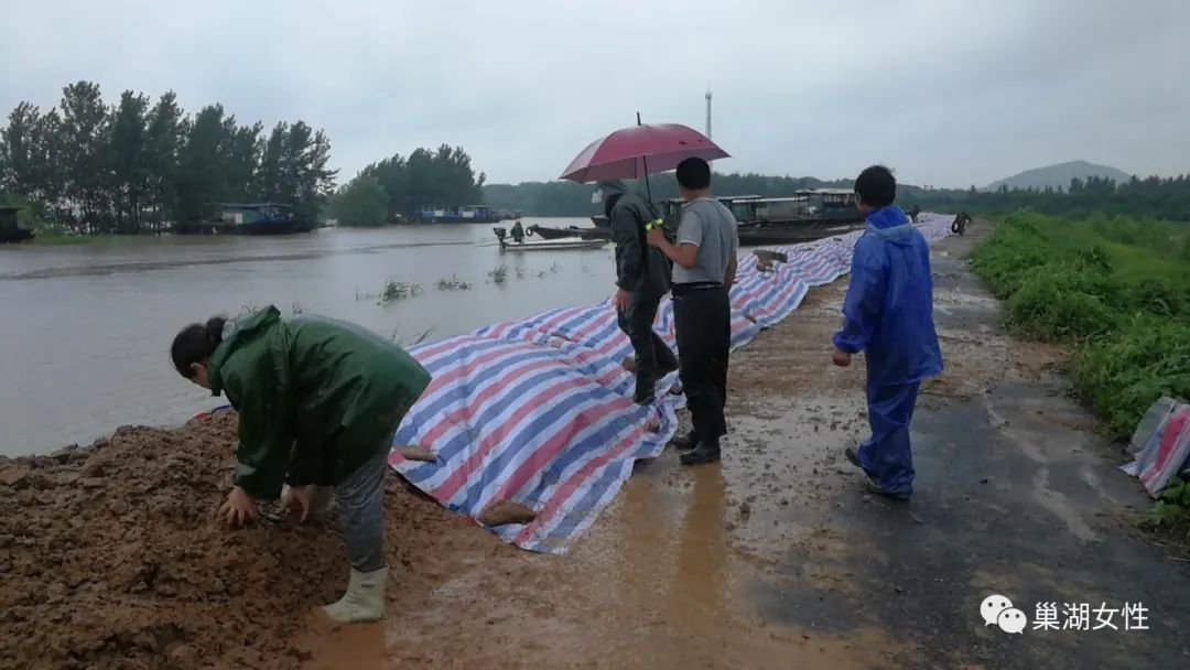巢湖防汛最新動態(tài),巢湖防汛最新動態(tài)及應(yīng)對步驟指南