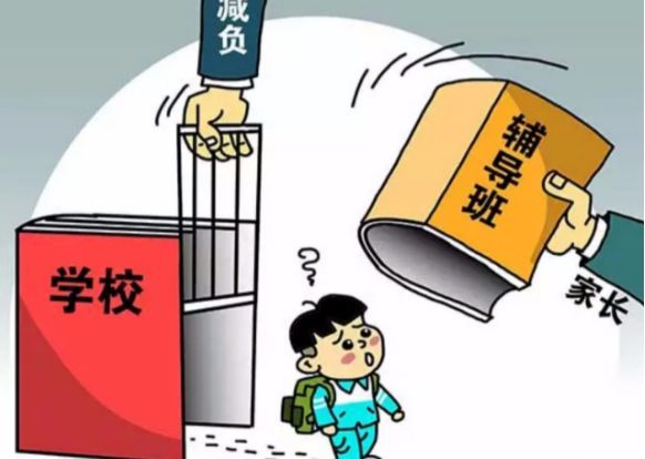 最新教育政策解讀與概覽