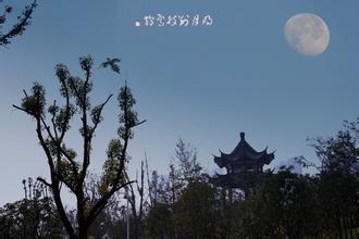別枝新篇,??別枝新篇，綻放青春色彩?