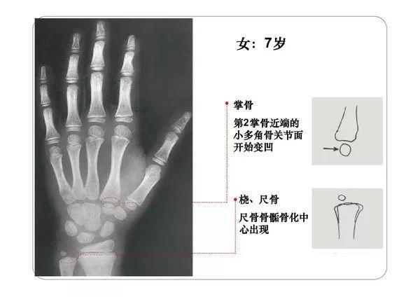PDF最新版的相關論述與探討