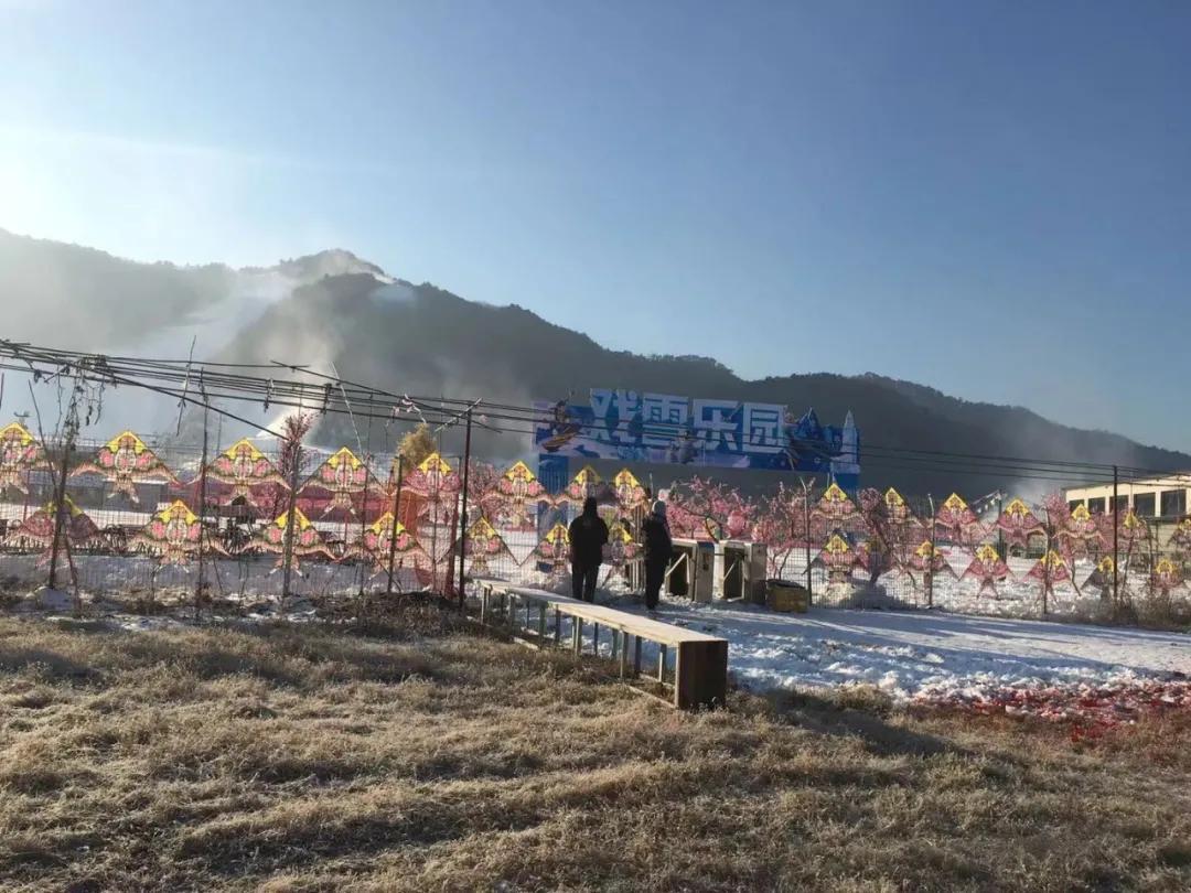 小巷深處的時尚秘密，鋼架雪車比賽服的魅力風采