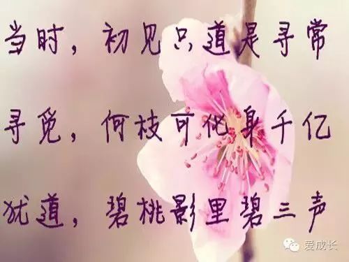 給共青團的三行情書與前沿科技產品介紹