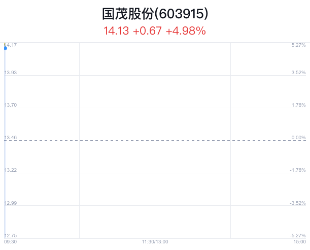 國茂股票深度解析，探尋投資價值之道