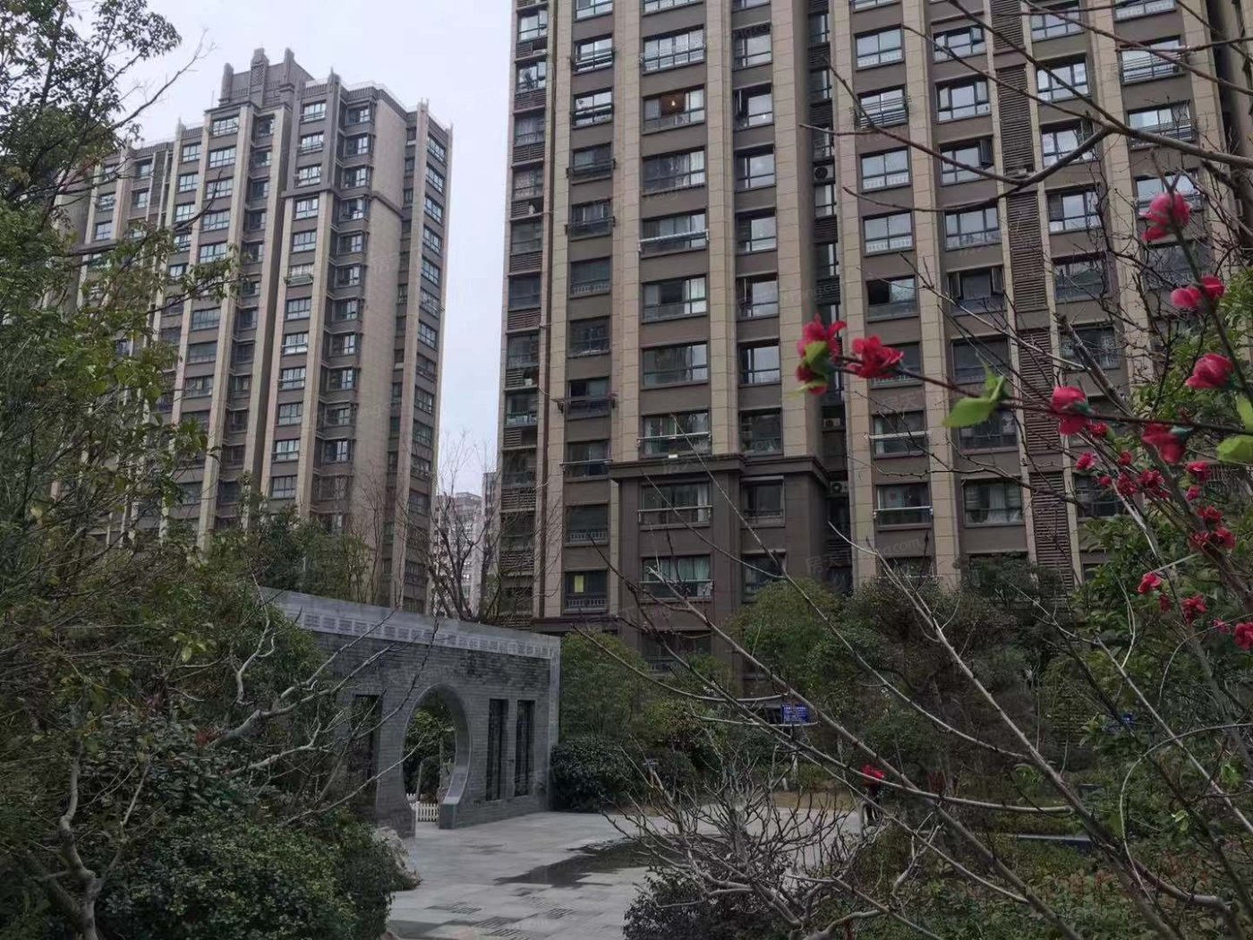 文承熙苑最新價格指南，全面解析最新價格信息