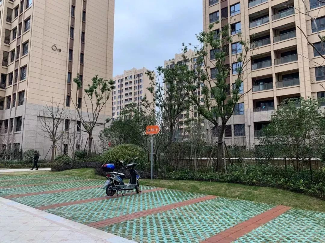 大武口最新房源信息，繁榮背后的故事與地區地位揭秘