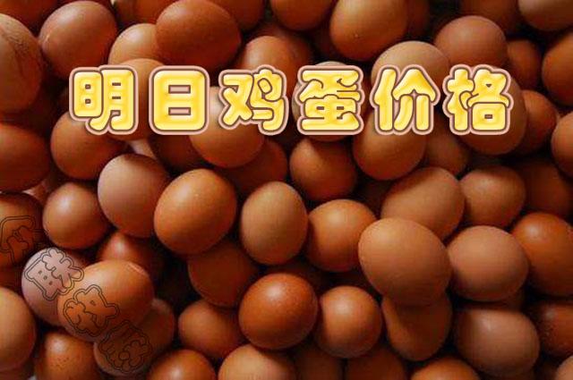 雞蛋價格最新行情分析與查詢指南，最新行情解析及趨勢預測