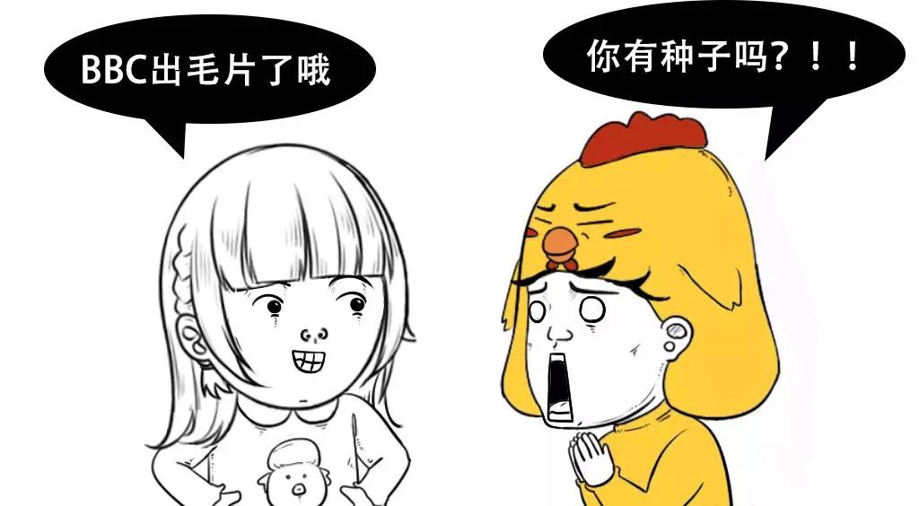 經典最新毛片,關于經典最新毛片的觀點闡述