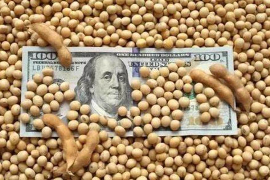 美國大豆的成長、變化與自信之旅，最新消息深度解析