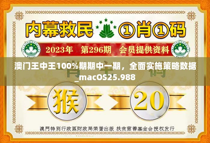 新澳門王中王100%期期中,推動策略優化_硬件版97.553