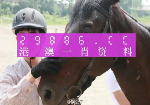 澳門(mén)一肖一碼一必中一肖同舟前進(jìn),精細(xì)化實(shí)施分析_輕奢版6.756