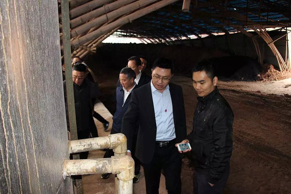 四川啟明星，文化影響力與經濟發展的雙刃劍效應探究