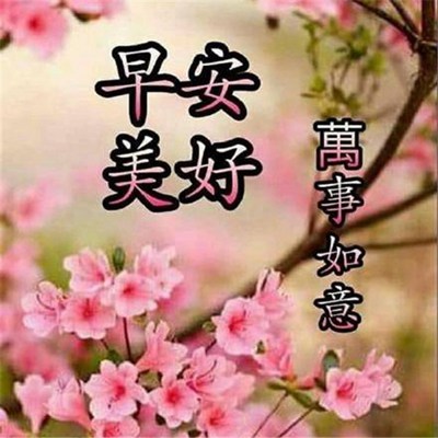 輕質(zhì)建筑材料銷售 第177頁