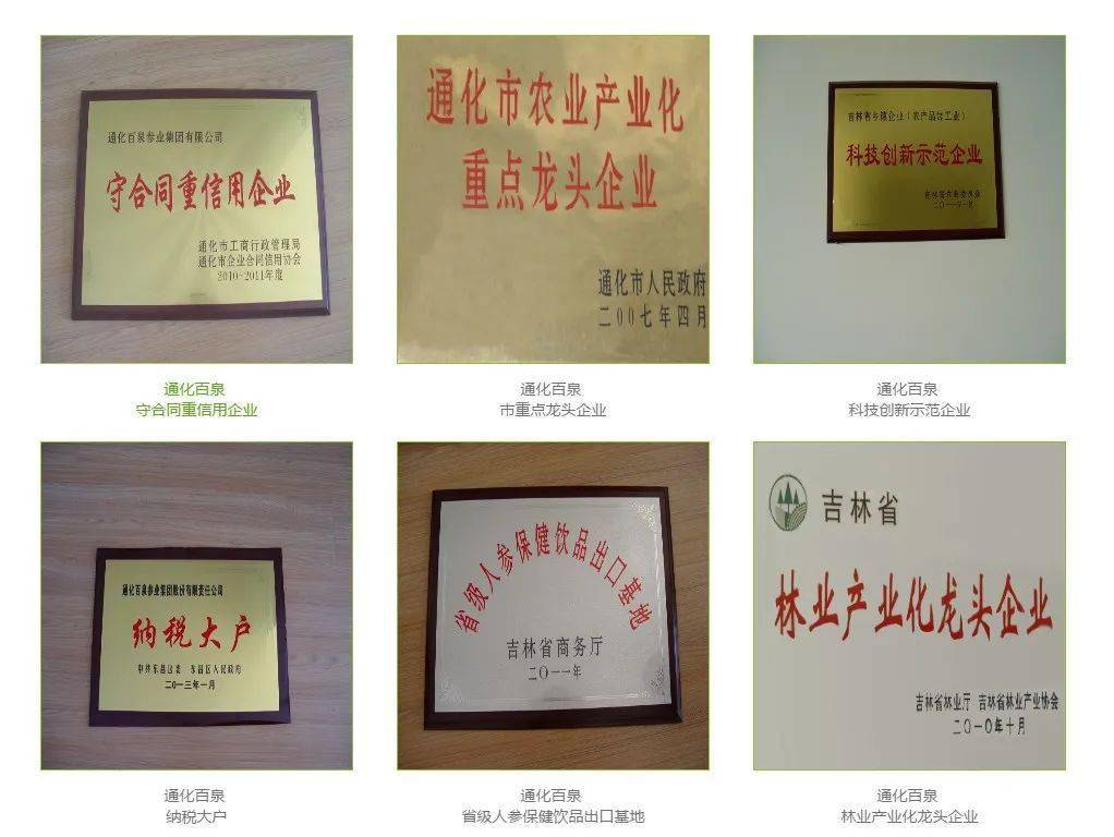 百泉參業(yè)最新動態(tài)及發(fā)展趨勢????