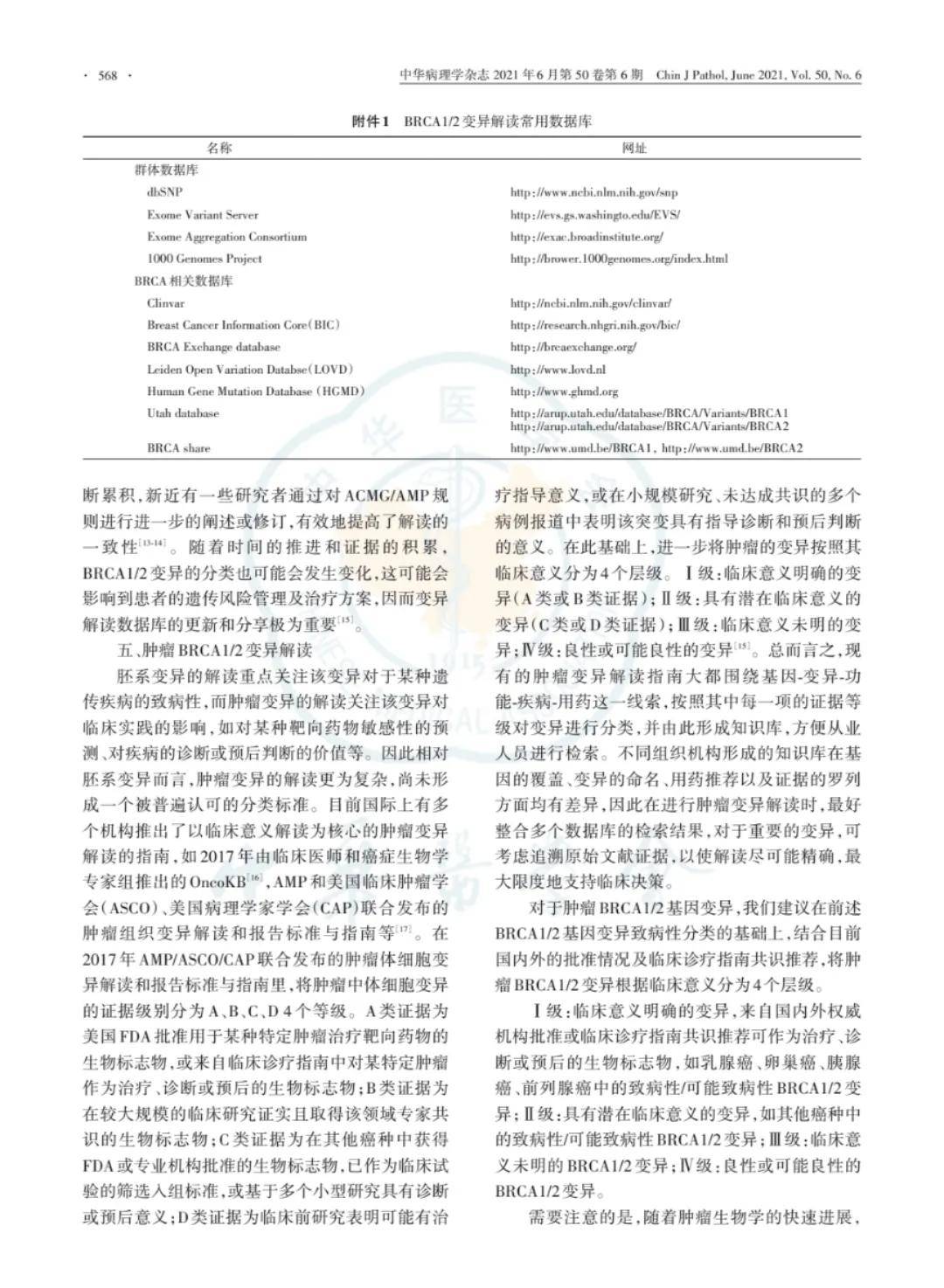 ＂澳門一碼一肖一特一中直播結果＂的：科學分析嚴謹解釋_游戲版3.59