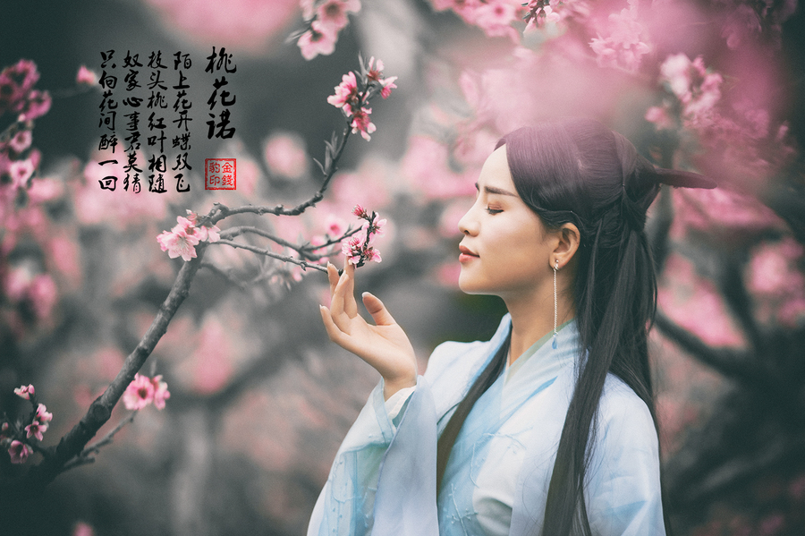桃花諾演員表揭秘，自然美景中的旅行探索之旅