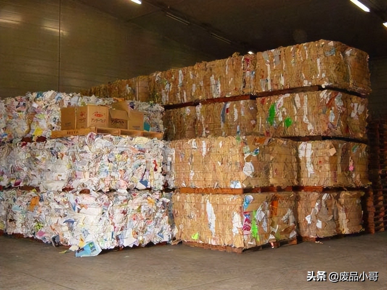 湖北廢紙價格最新行情指南，全面解析當前市場趨勢