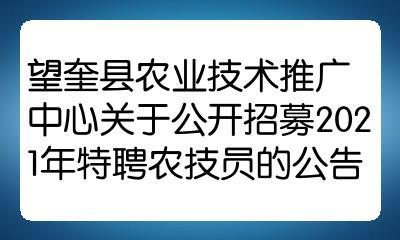 望奎招聘信息引領變革，智能招聘新時代開啟