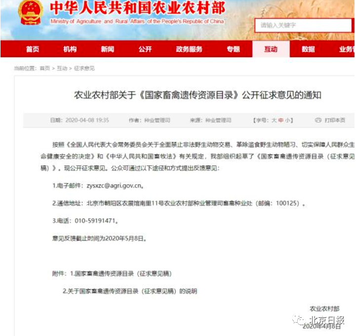 最新禁食公告解讀與重要更新通知
