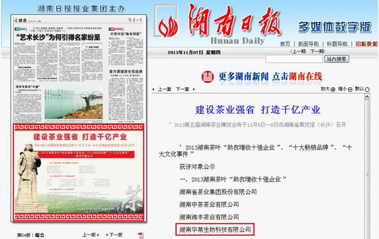 華萊資訊，引領你探索最新動態，洞悉時代脈搏的資訊平臺