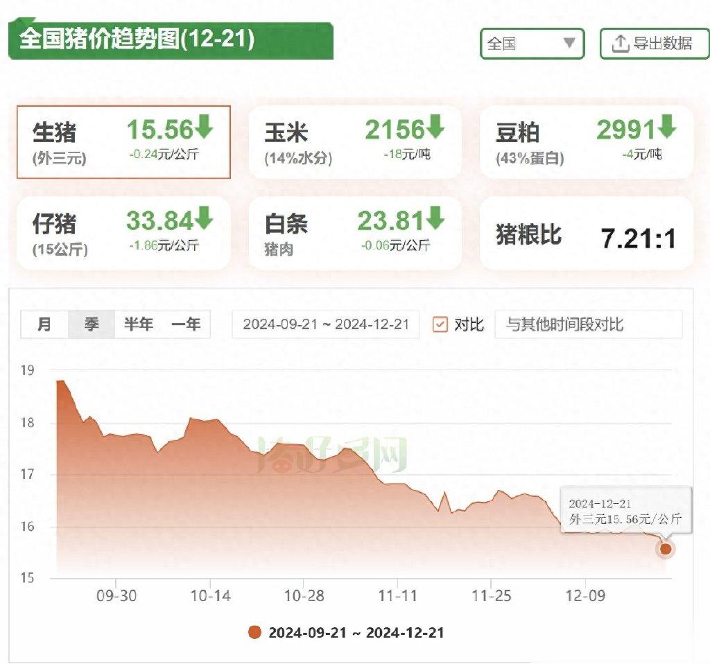 豬肉行情動態，把握變化中的機遇，勵志人生從此啟航