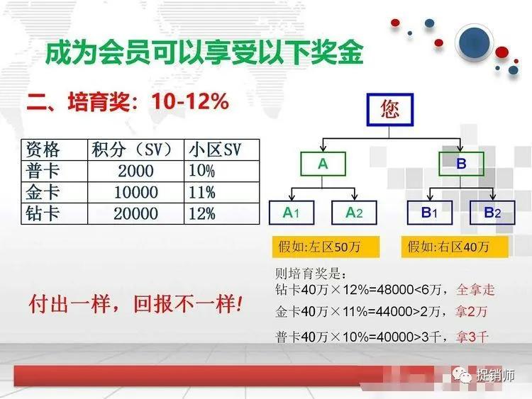 公司上市員工購(gòu)原始股，冒險(xiǎn)之旅開(kāi)啟，命運(yùn)與夢(mèng)想的交匯點(diǎn)