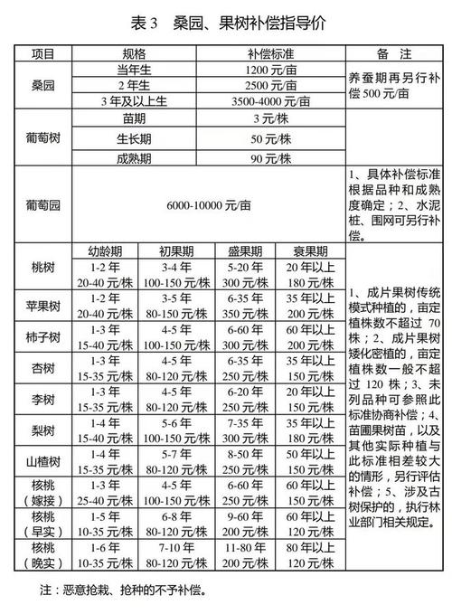 最新土地補(bǔ)償政策下的獨特小巷風(fēng)情與隱藏小店探索揭秘