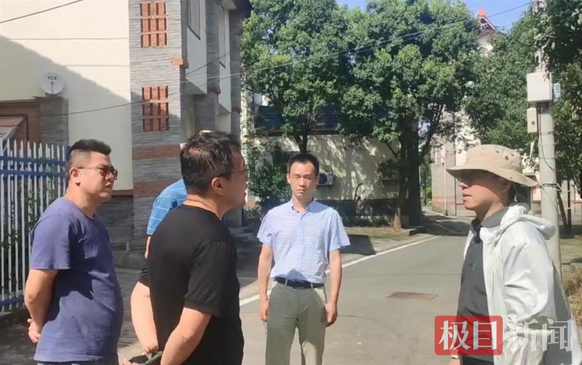蔡甸嵩陽大道最新動態，擁抱自然美景的心靈之旅啟程了！