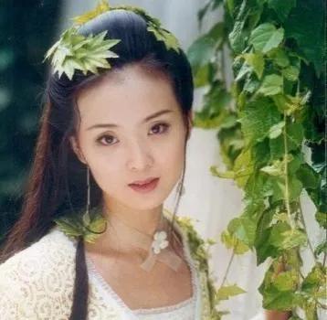 演員王艷，演藝生涯與魅力瞬間回顧的圖片集萃
