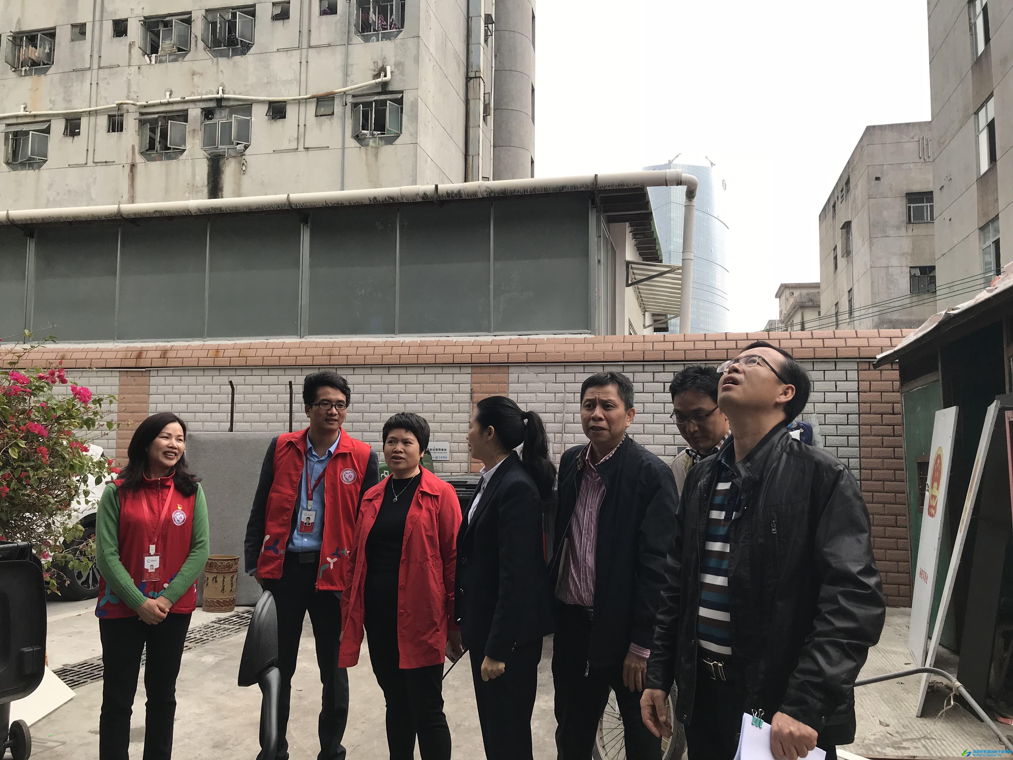 草社區最新動態揭秘，如何融入并參與社區發展的步伐